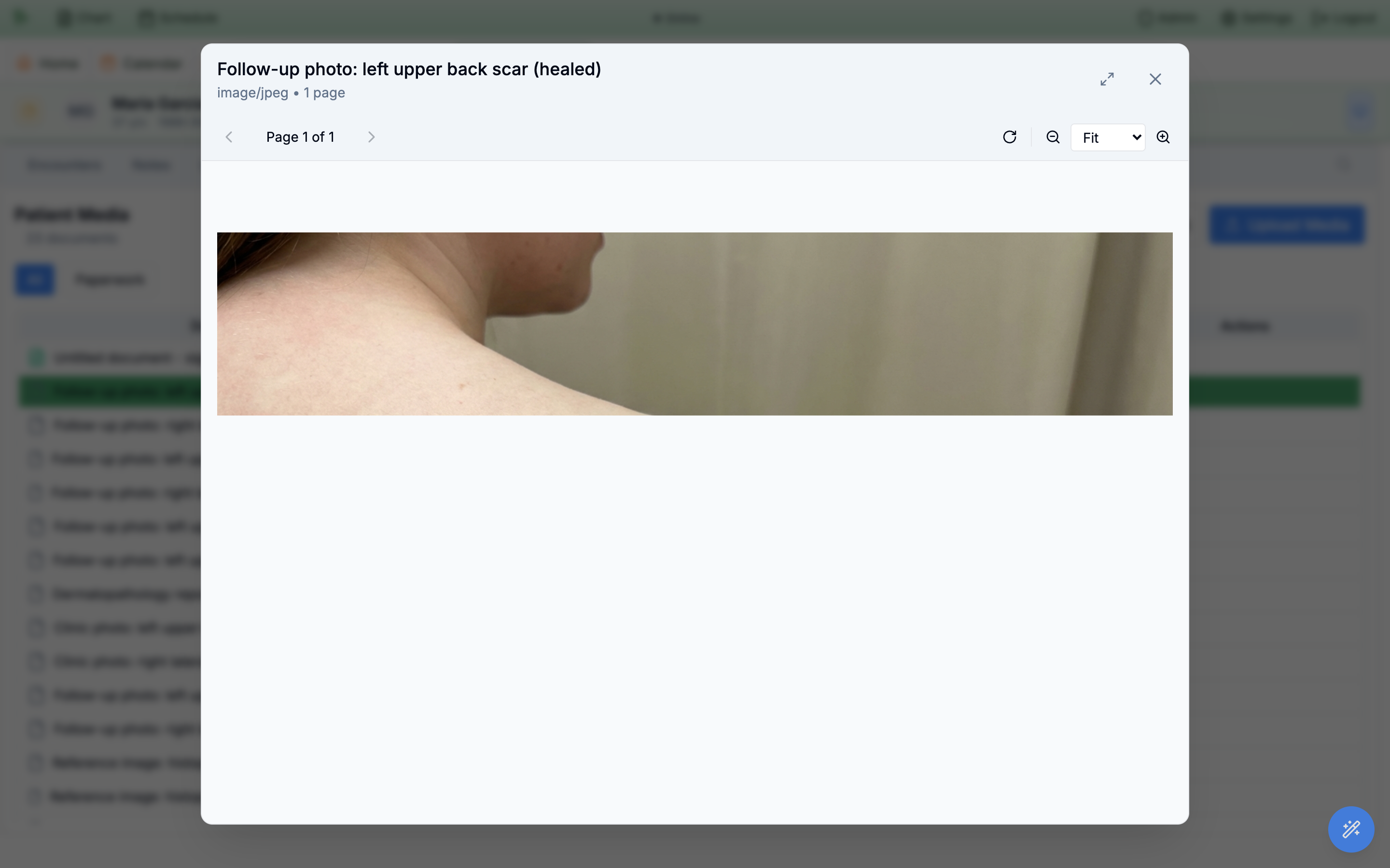 Document viewer dialog with a title bar showing the filename and image/jpeg • 1 page, page navigation arrows, zoom controls with a Fit dropdown, and fullscreen and close buttons